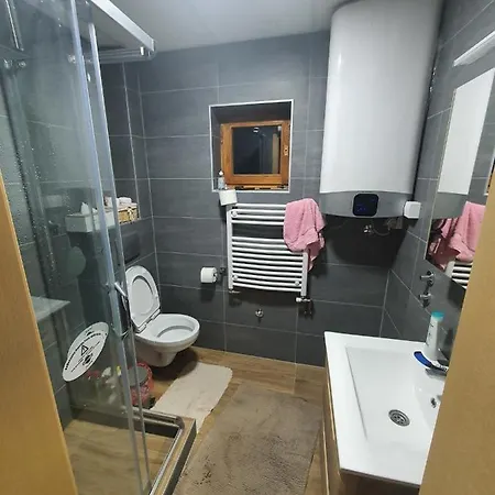 Dzemper House 샬레 미트로박