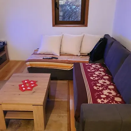 샬레 Dzemper House *